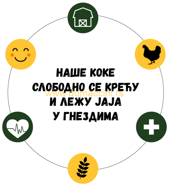 Koka-slobodanka-circle-2